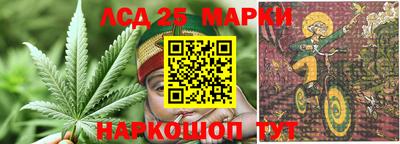 a pvp Славянск-на-Кубани