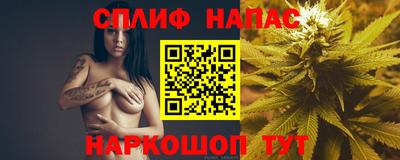 a pvp Славянск-на-Кубани