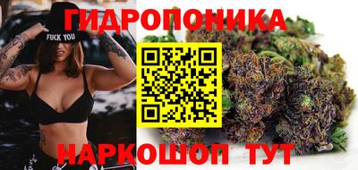 соль ск Славгород