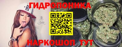 a pvp Славянск-на-Кубани